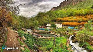 چشمه مارو در فاصله 200 متری خانه بومی ارغوان - پاوه - روستای داریان